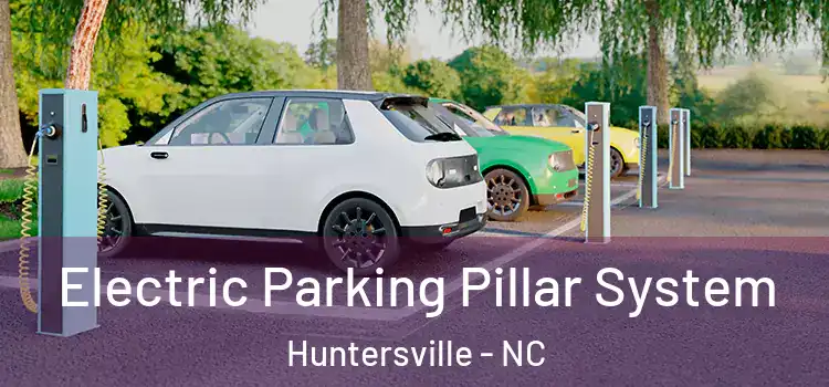  Electric Parking Pillar System Huntersville - NC